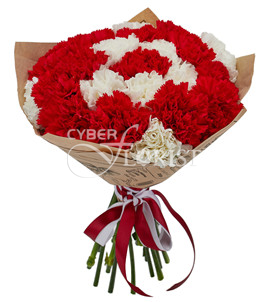 bouquet of white and red carnations
